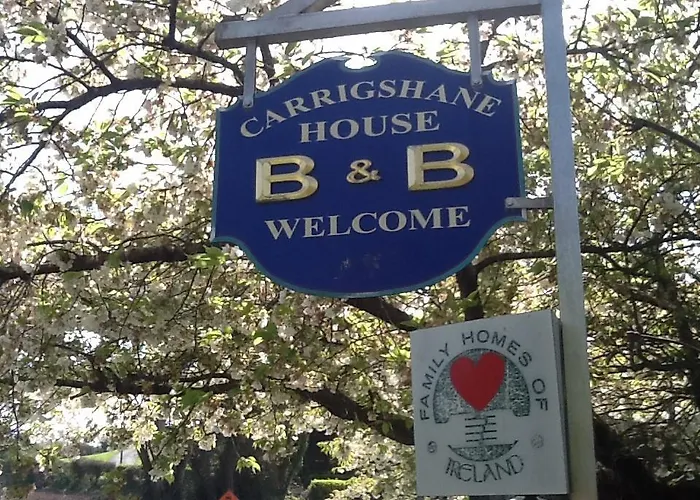 Bed & Breakfast Carrigshane House